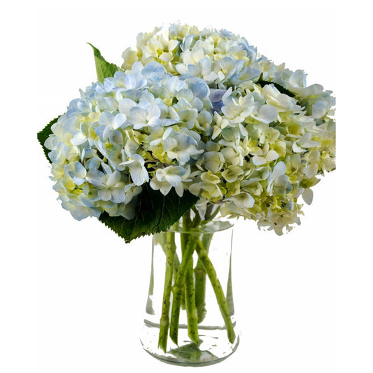 Clear Blue Hydrangea Bouquet - Floral_Arrangement - Flower Delivery NYC
