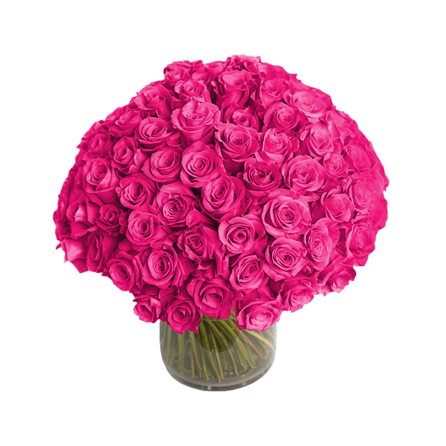 Fresh Roses in a Vase | 100 Hot Pink Roses - Floral_Arrangement - Flower Delivery NYC