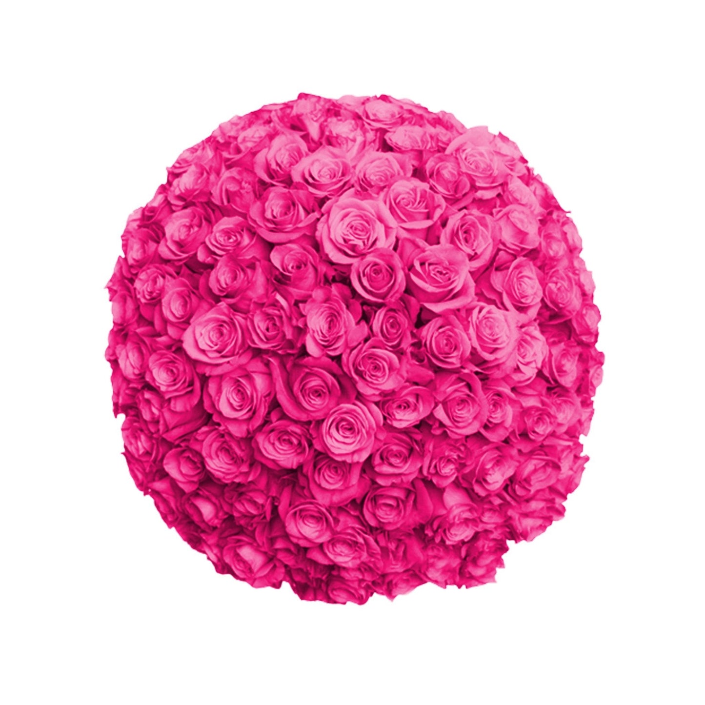 Fresh Roses in a Vase | 100 Hot Pink Roses - Floral_Arrangement - Flower Delivery NYC