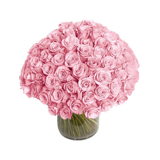 Fresh Roses in a Vase | 100 Light Pink Roses - Floral_Arrangement - Flower Delivery NYC