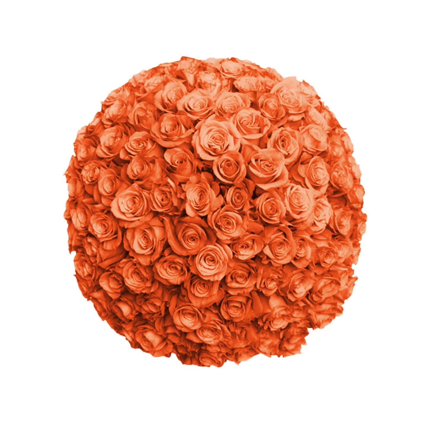 Fresh Roses in a Vase | 100 Orange Roses - Floral_Arrangement - Flower Delivery NYC