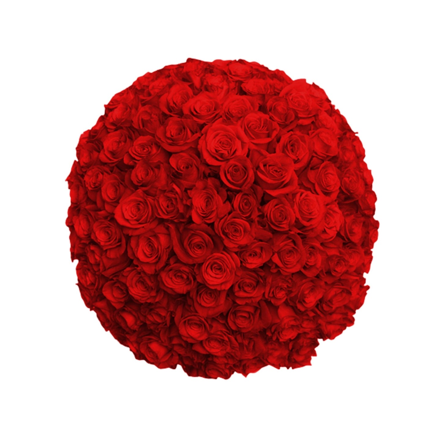 Fresh Roses in a Vase | 100 Red Roses - Floral_Arrangement - Flower Delivery NYC