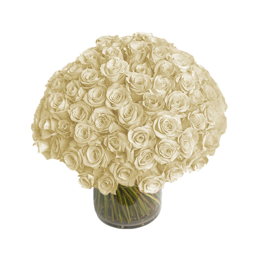 Fresh Roses in a Vase | 100 White Roses - Floral_Arrangement - Flower Delivery NYC