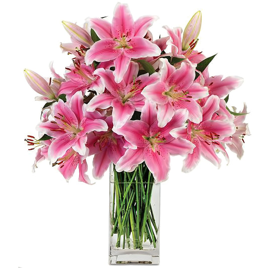 Pink Stargazer Surprise - Floral_Arrangement - Flower Delivery NYC