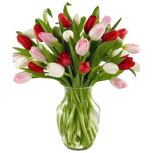 Tulips Of Love - Floral_Arrangement - Flower Delivery NYC