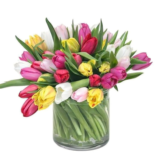 Wonderful Tulips - Floral_Arrangement - Flower Delivery NYC