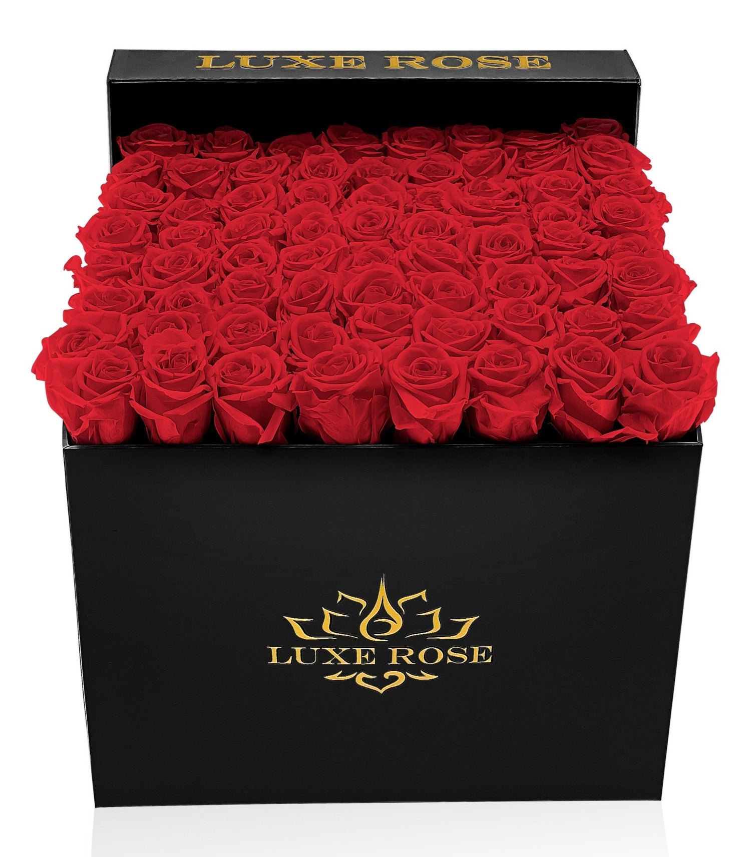 Preserved Rose Collection - Flower Delivery NYC