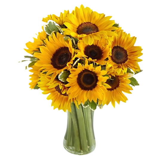 Birthday Sunshine - Floral_Arrangement - Flower Delivery NYC