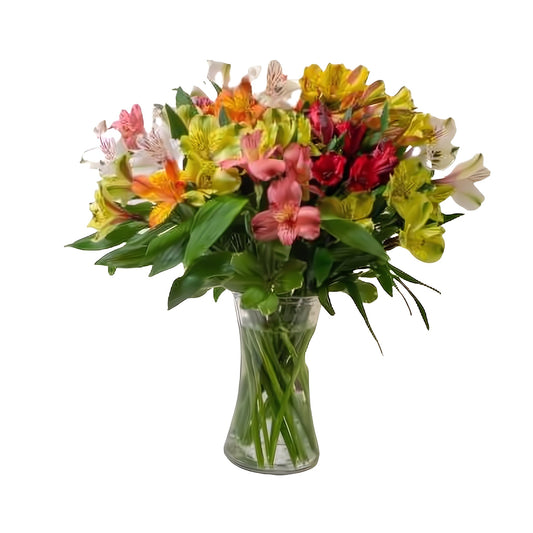 Colorful Assorted Alstromeria - Floral_Arrangement - Flower Delivery NYC