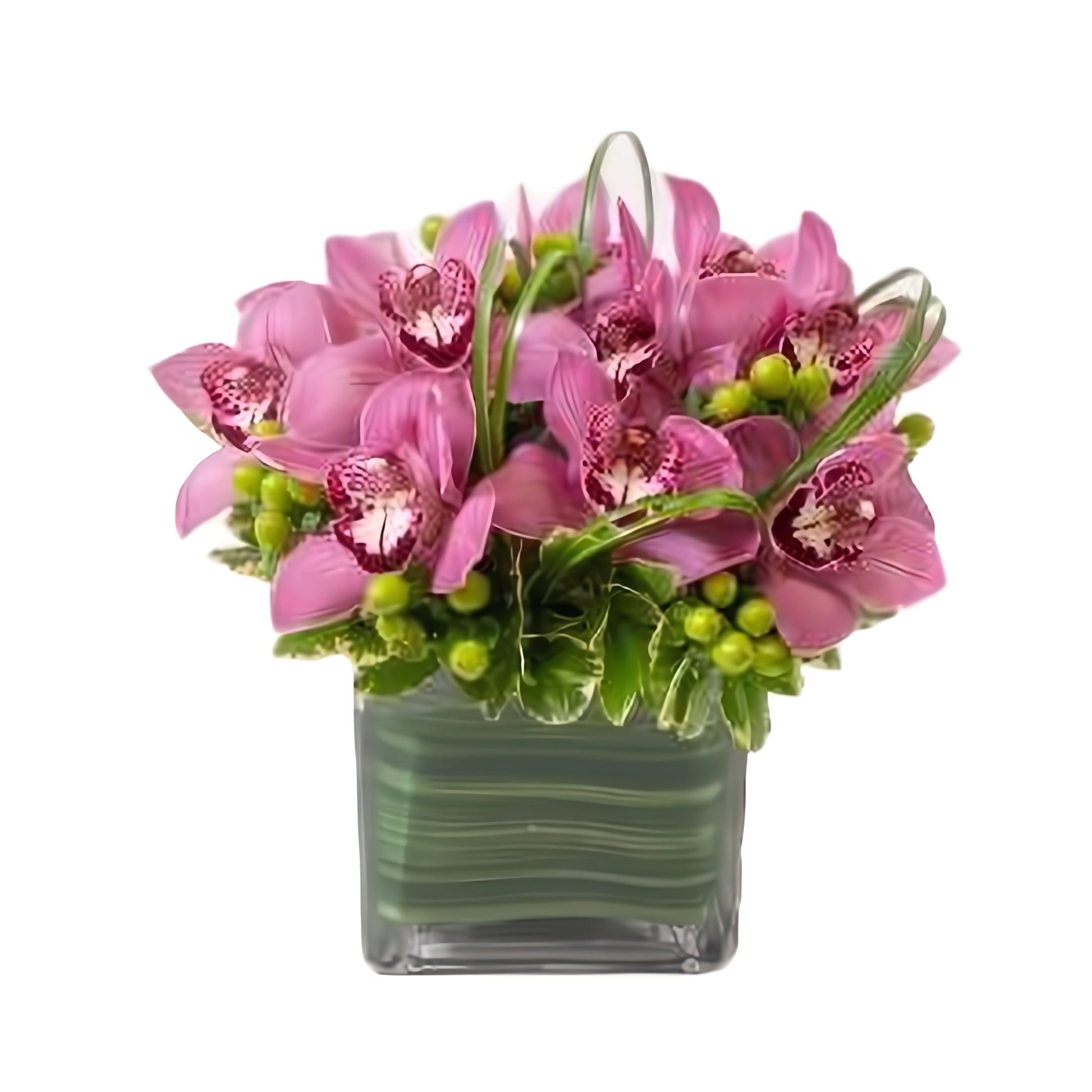 Cymbidium Fancy - Floral_Arrangement - Flower Delivery NYC