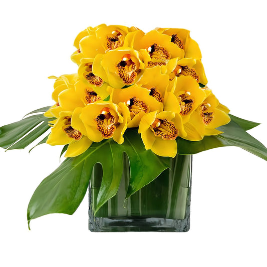 Fancy Yellow Cymbidium Orchid Cube - Floral_Arrangement - Flower Delivery NYC