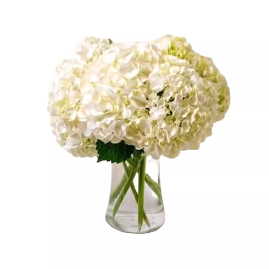 Fluffy Hydrangea Bouquet - Floral_Arrangement - Flower Delivery NYC