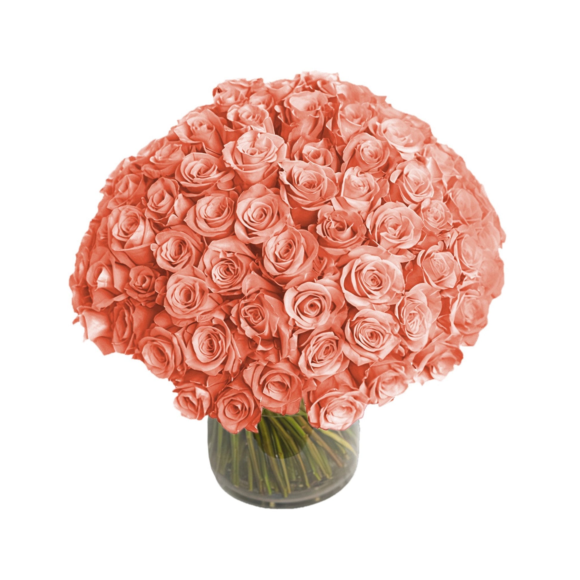 Fresh Roses in a Vase | 100 Peach Roses - Floral_Arrangement - Flower Delivery NYC