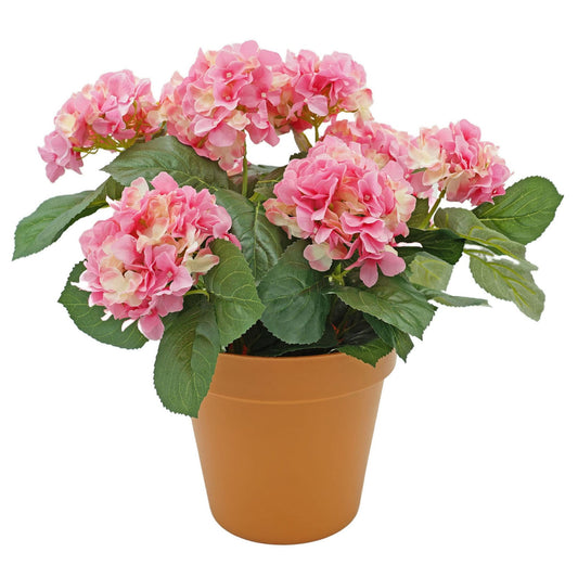 Hydrangea Plant - Floral_Arrangement - Flower Delivery NYC
