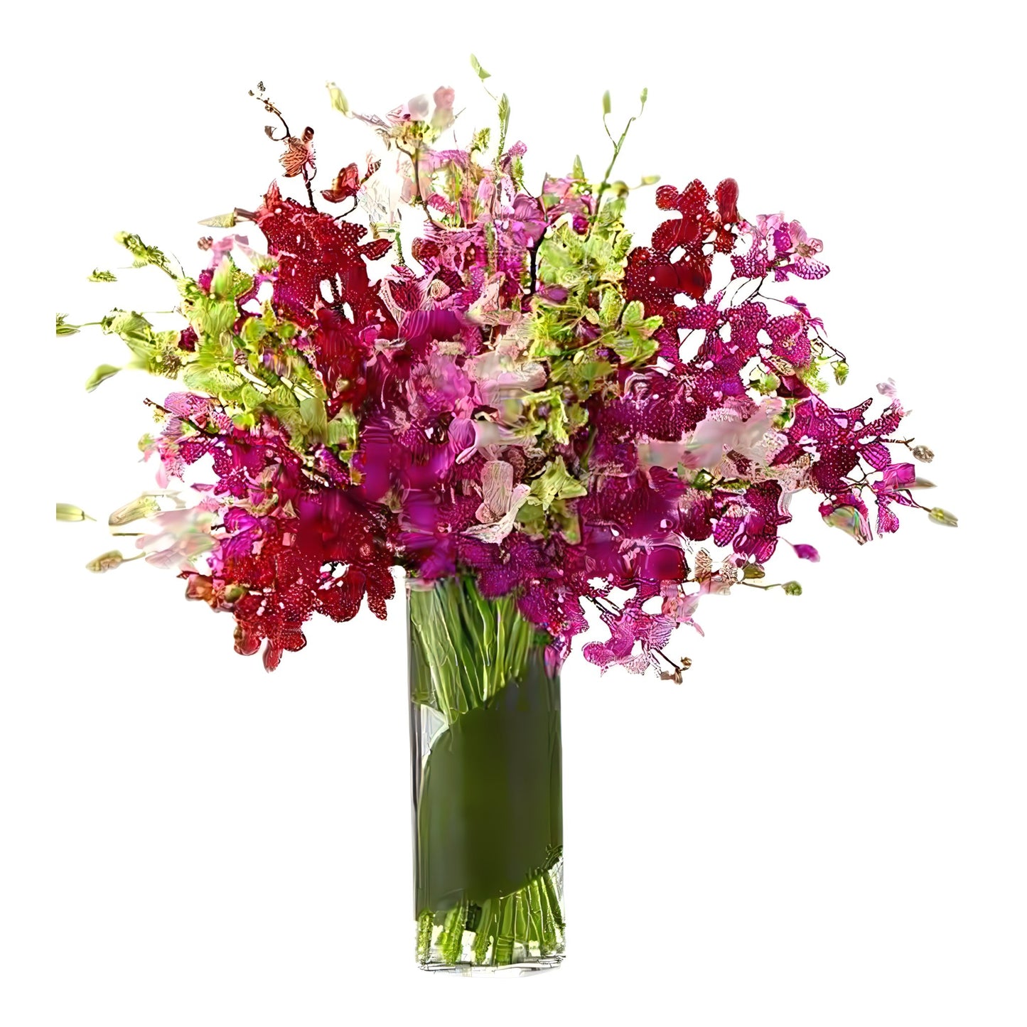 Luminous Luxury Orchids - Floral_Arrangement - Flower Delivery NYC