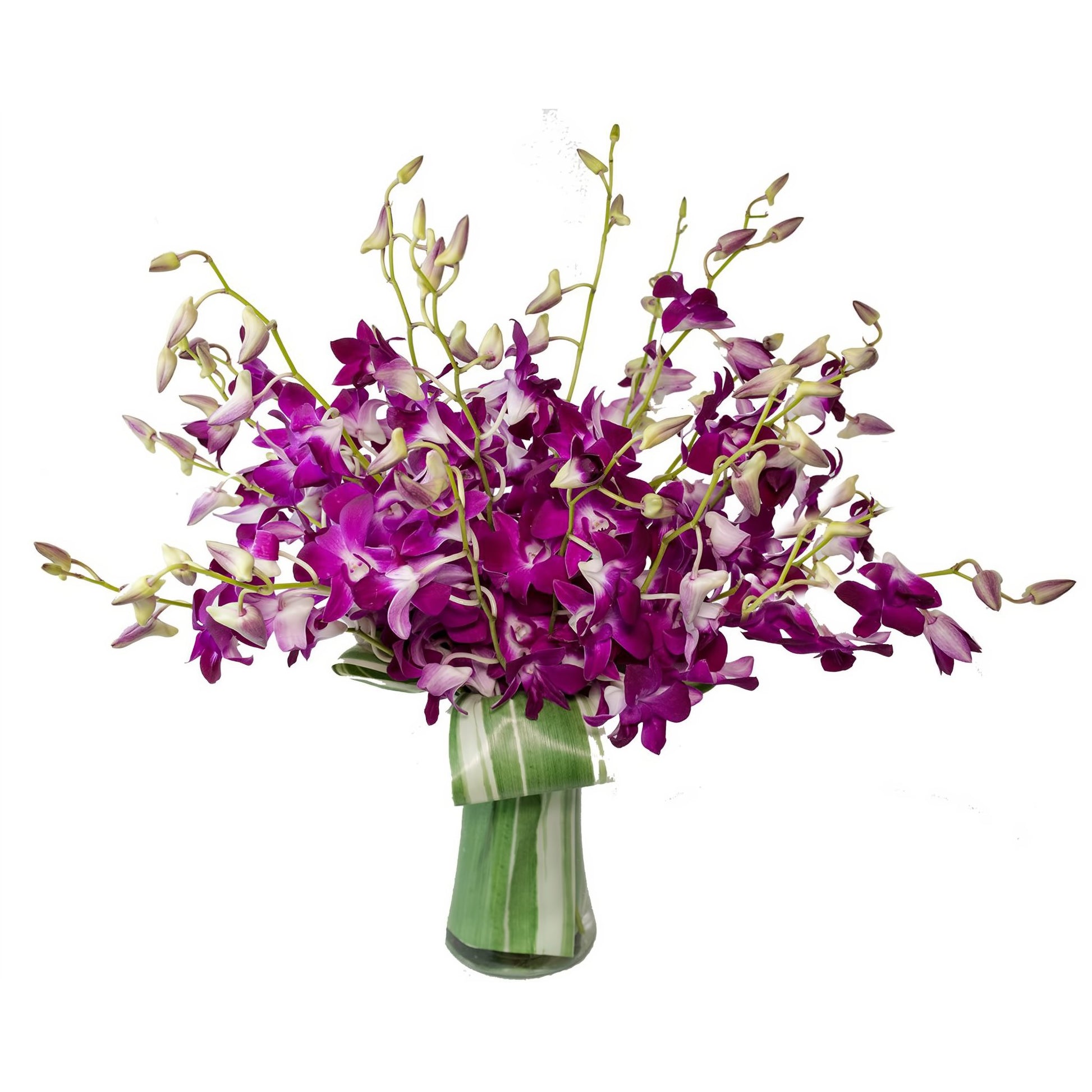 Orchid Embrace - Floral_Arrangement - Flower Delivery NYC