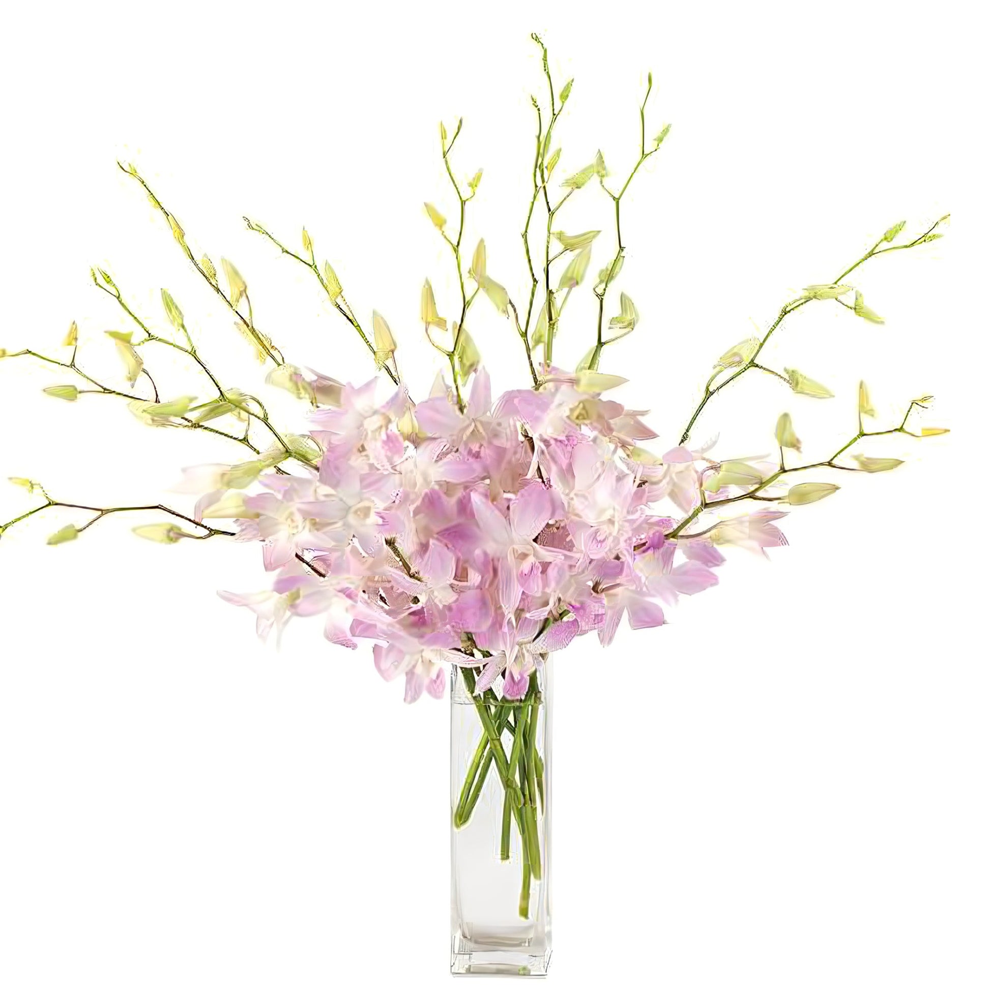 Pastel Perfection Orchid Bouquet - Floral_Arrangement - Flower Delivery NYC