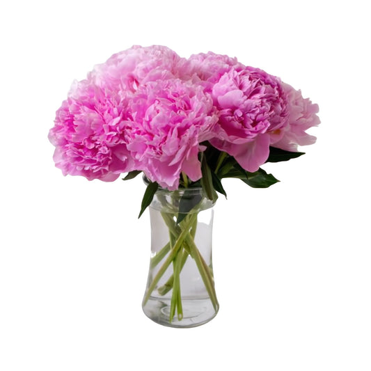 Perfect Peony - Floral_Arrangement - Flower Delivery NYC