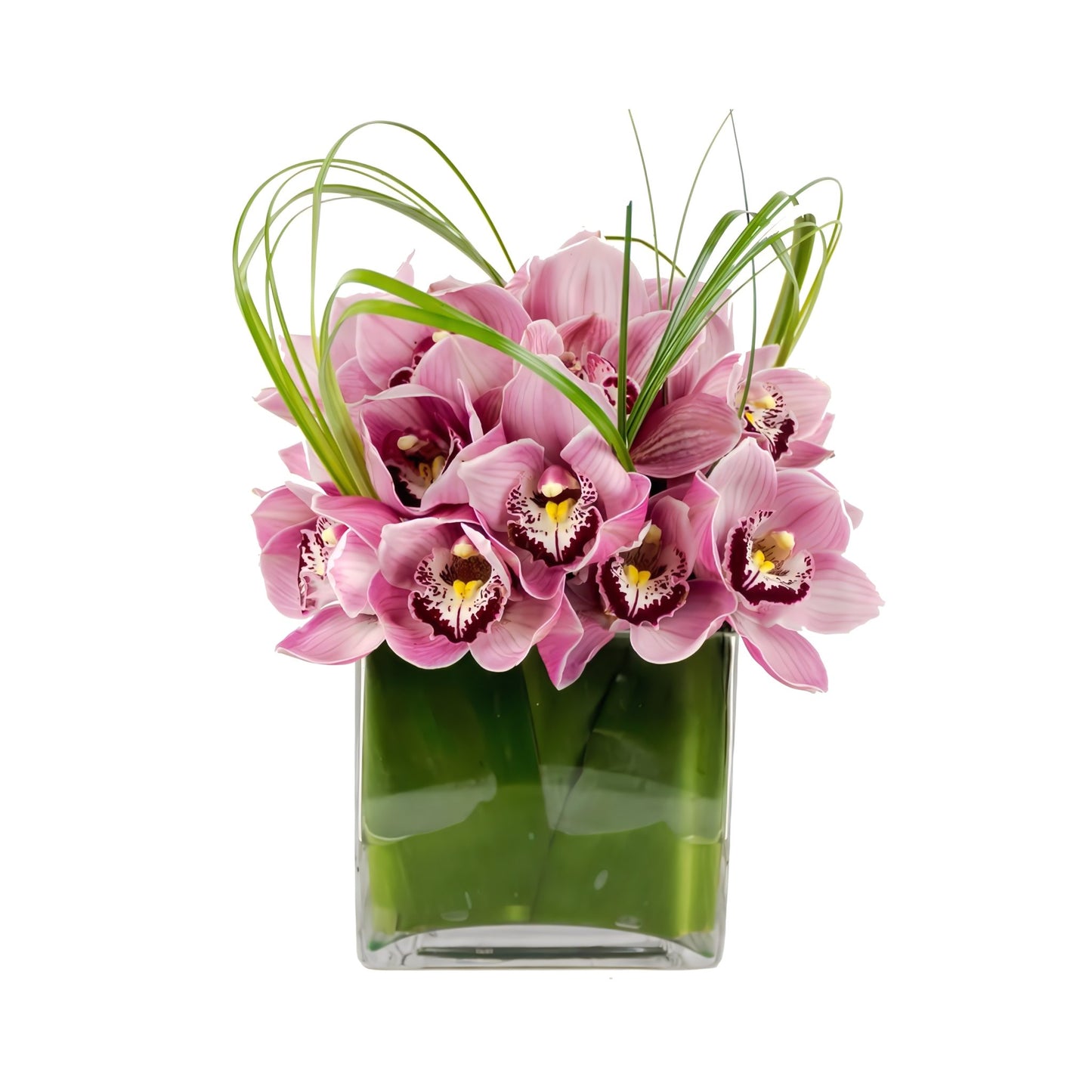 Pink Cymbidium Cube - Floral_Arrangement - Flower Delivery NYC