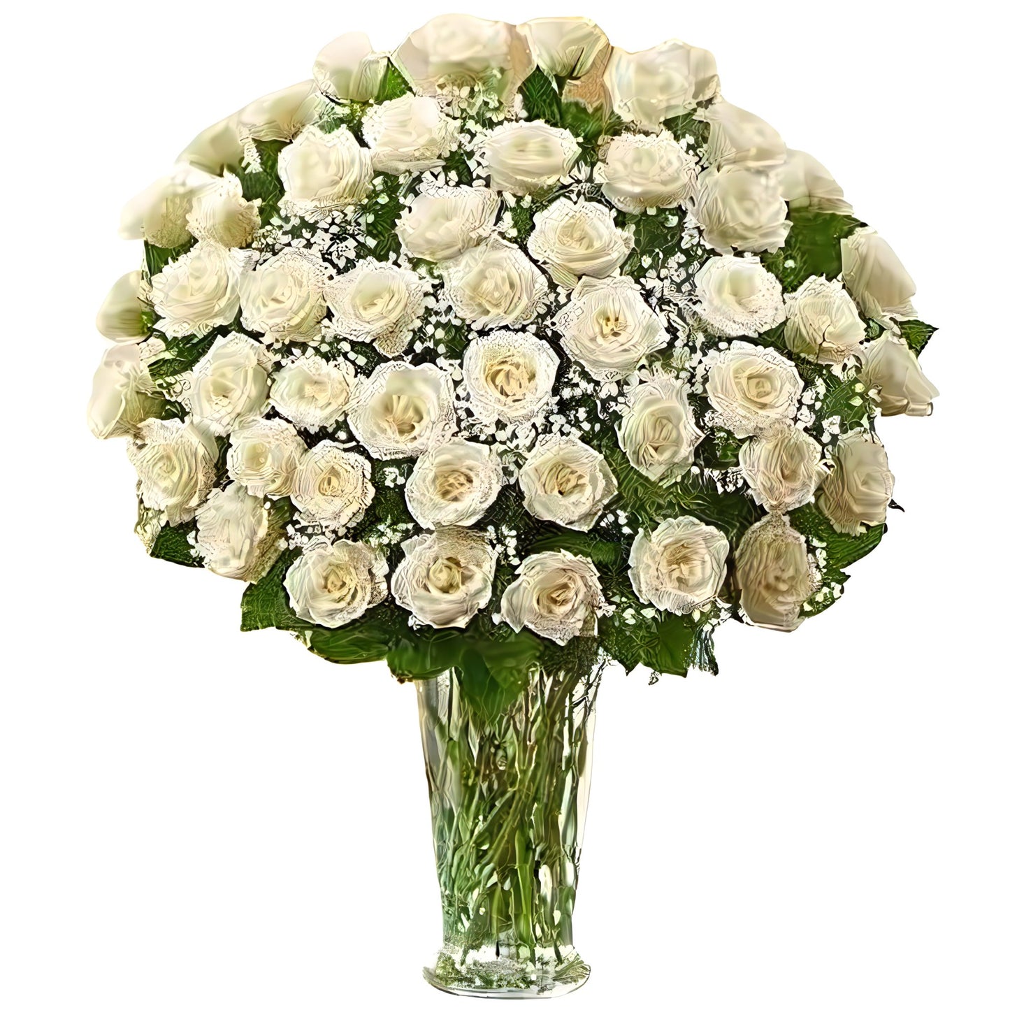 Premium Long Stem - 48 White Roses - Floral_Arrangement - Flower Delivery NYC