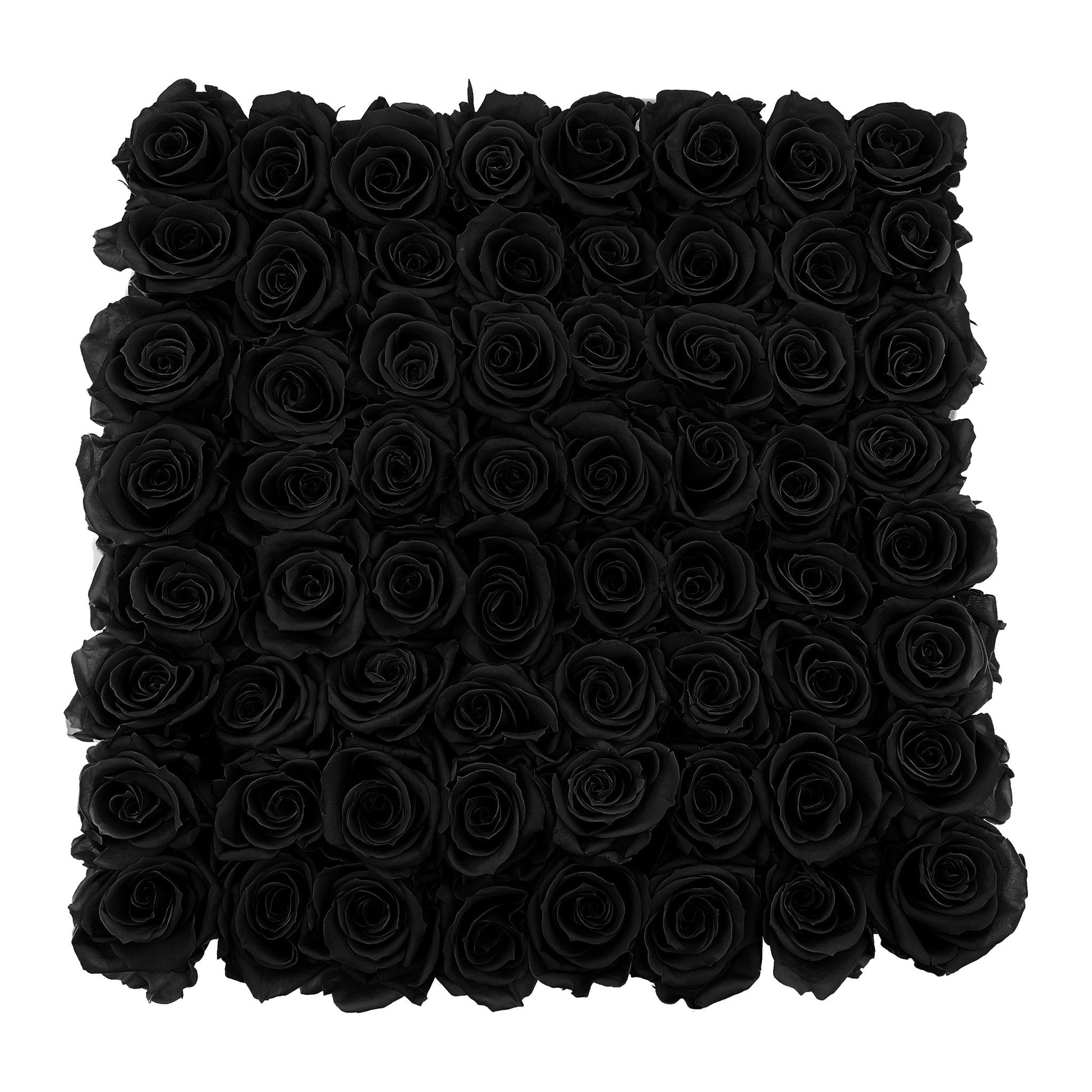 Preserved Roses Large Box | Black - Floral_Arrangement - Flower Delivery NYC