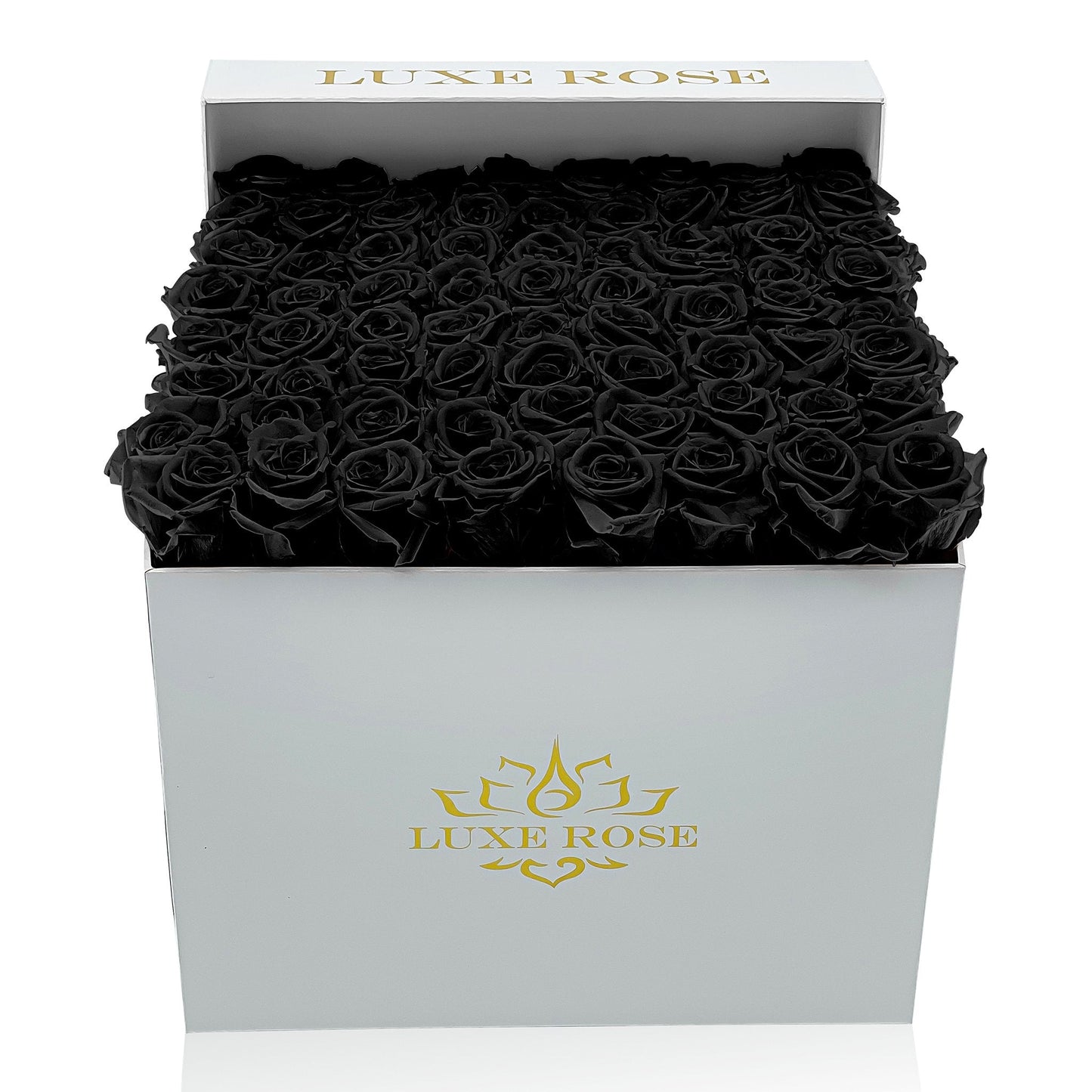 Preserved Roses Large Box | Black - Floral_Arrangement - Flower Delivery NYC