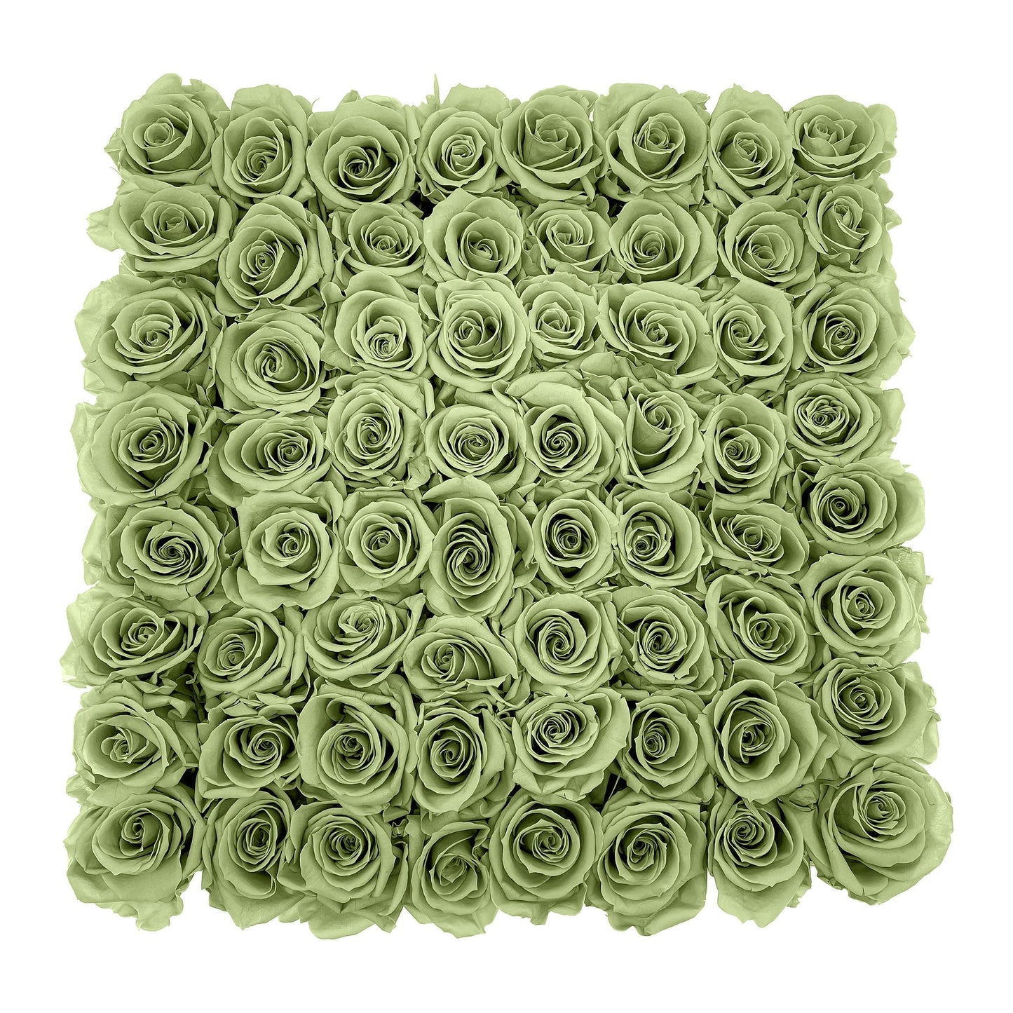 Preserved Roses Large Box | Green - Floral_Arrangement - Flower Delivery NYC