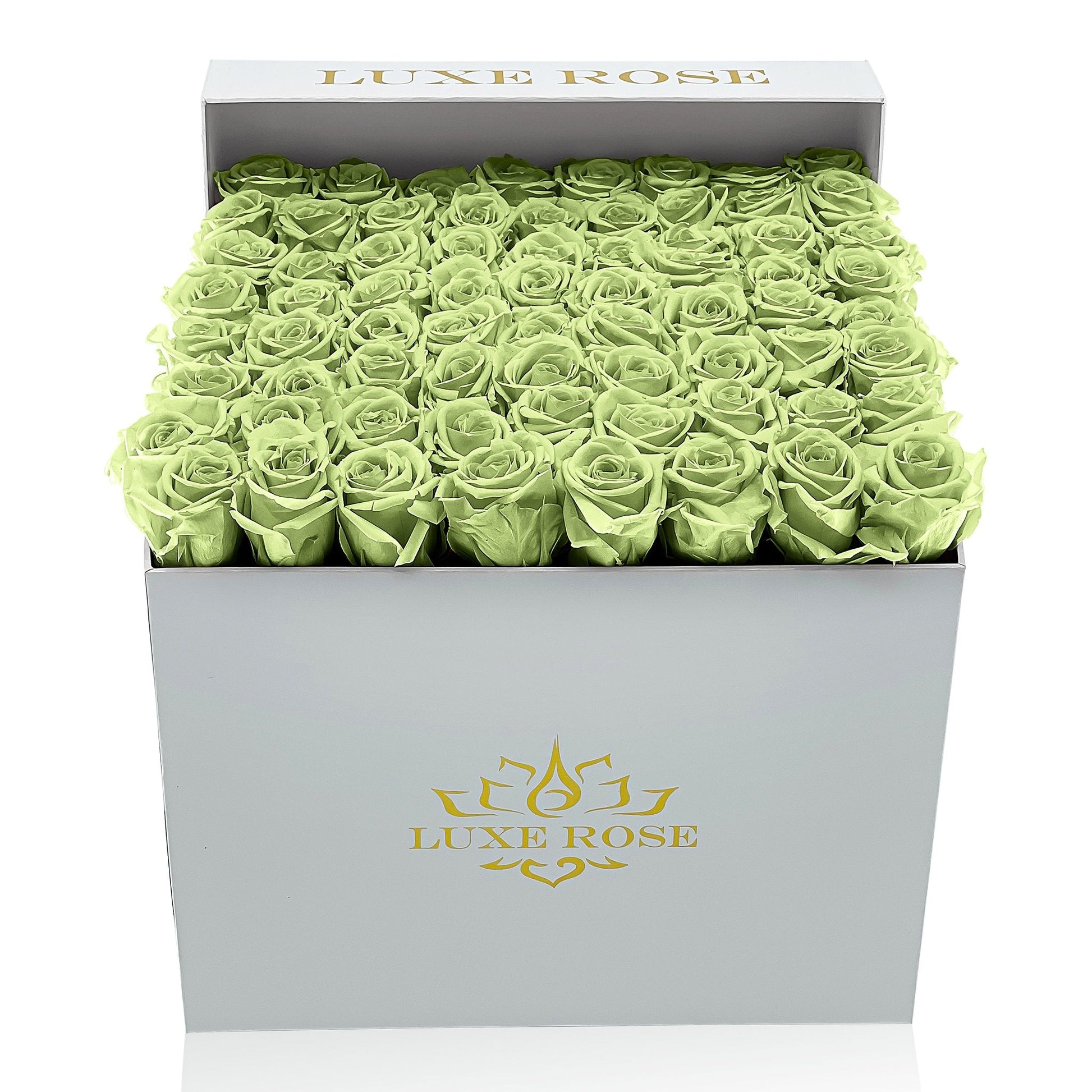 Preserved Roses Large Box | Green - Floral_Arrangement - Flower Delivery NYC