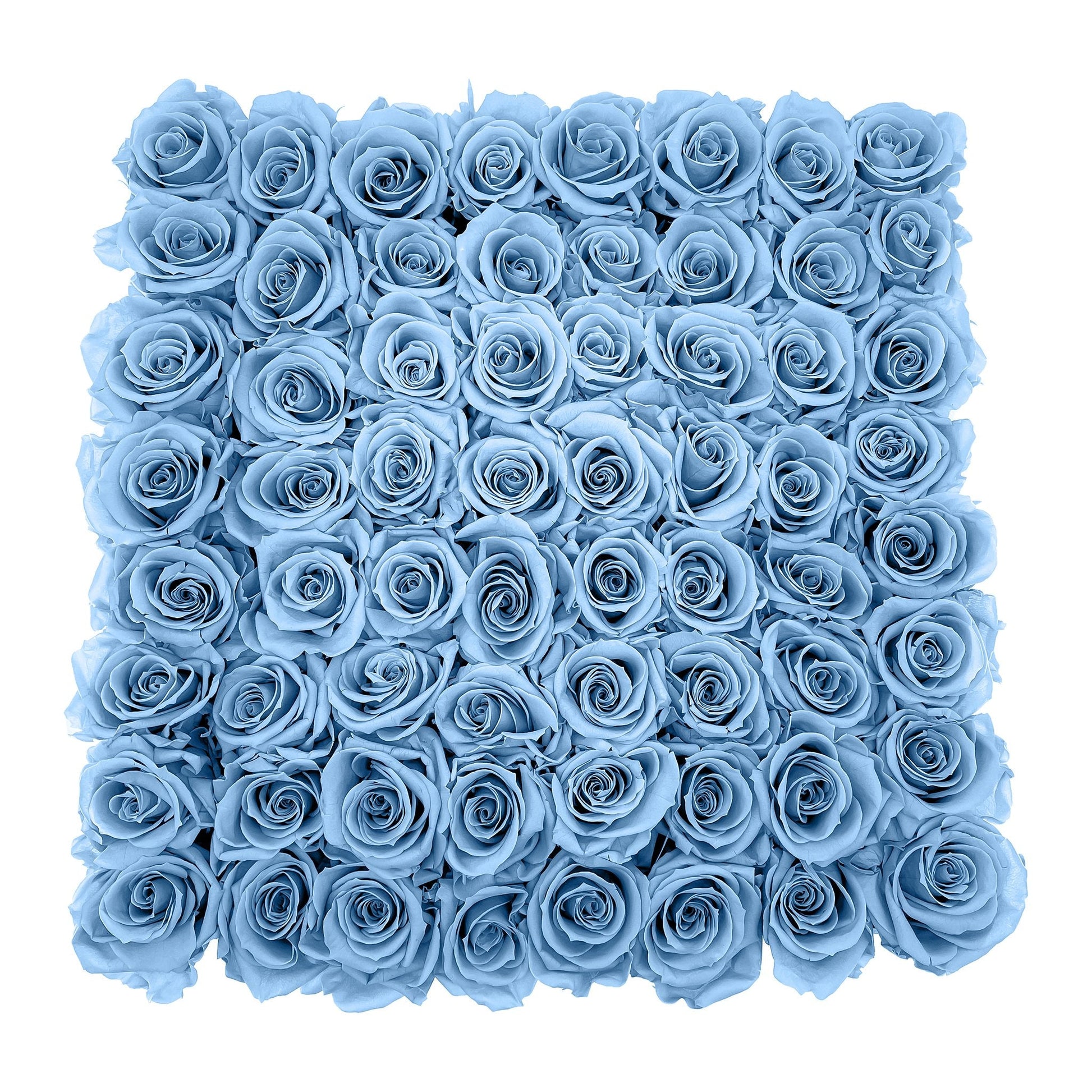 Preserved Roses Large Box | Light Blue - Floral_Arrangement - Flower Delivery NYC