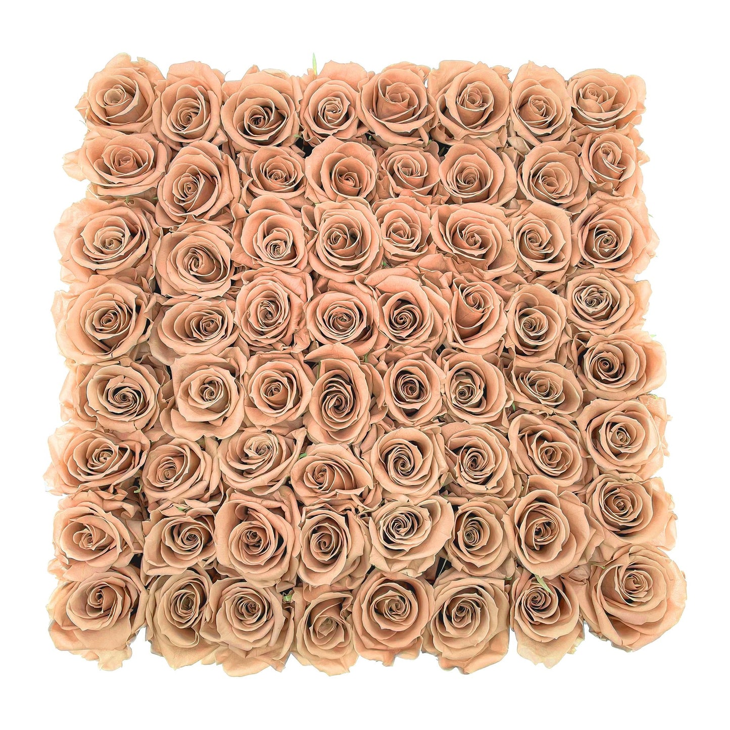 Preserved Roses Large Box | Peach - Floral_Arrangement - Flower Delivery NYC