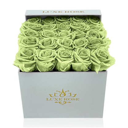 Preserved Roses Small Box | Green - Floral_Arrangement - Flower Delivery NYC