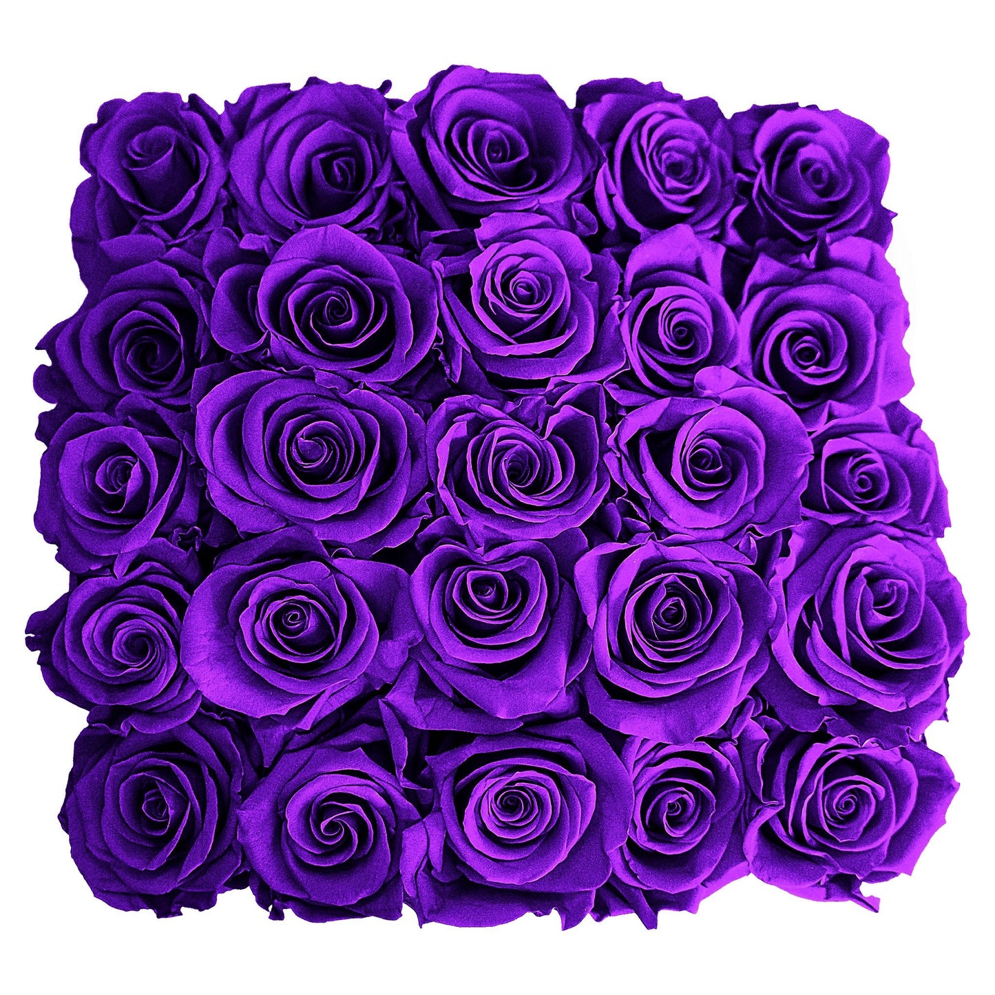 Preserved Roses Small Box | Purple - Floral_Arrangement - Flower Delivery NYC
