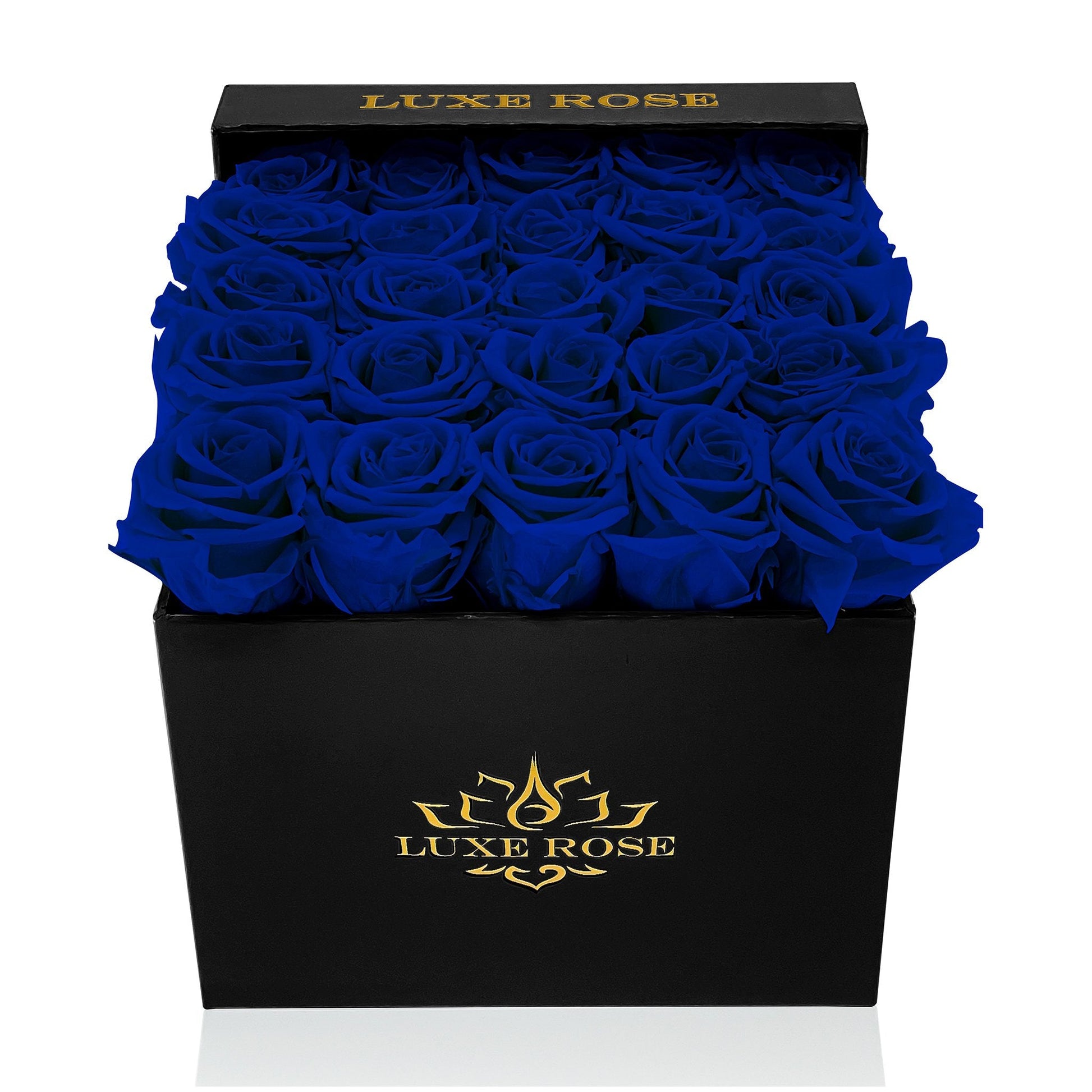 Preserved Roses Small Box | Royal Blue - Floral_Arrangement - Flower Delivery NYC