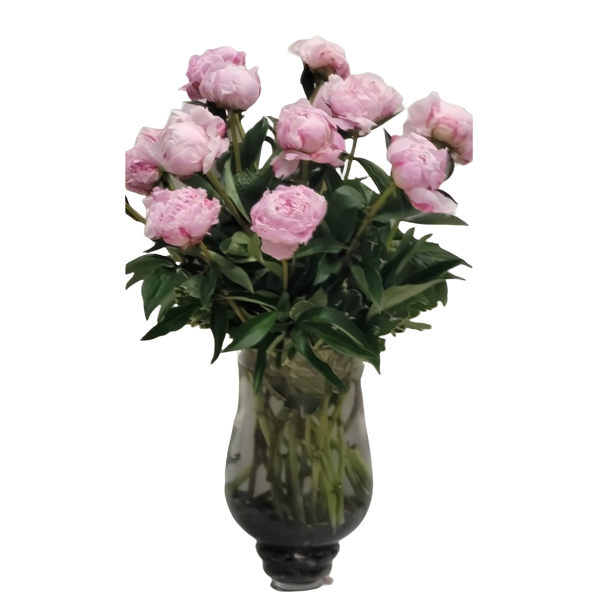 Splendid Peony Elegance - Floral_Arrangement - Flower Delivery NYC