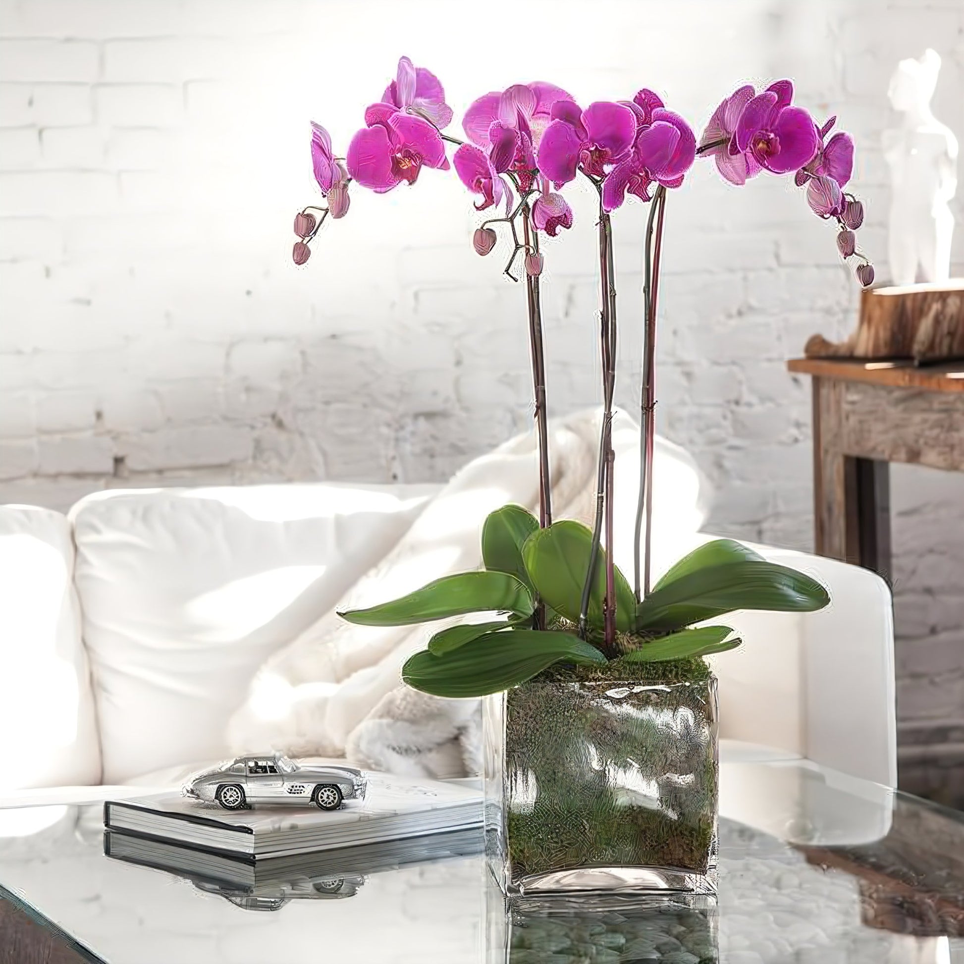 Triple Purple Phalaenopsis Orchid - Floral_Arrangement - Flower Delivery NYC