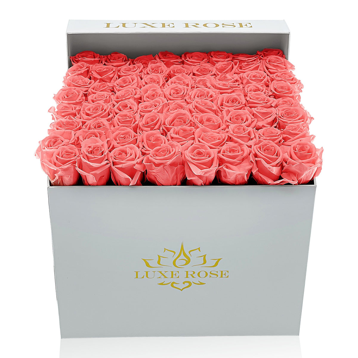 Preserved Roses Large Box | Cherry Blossom - White - Roses