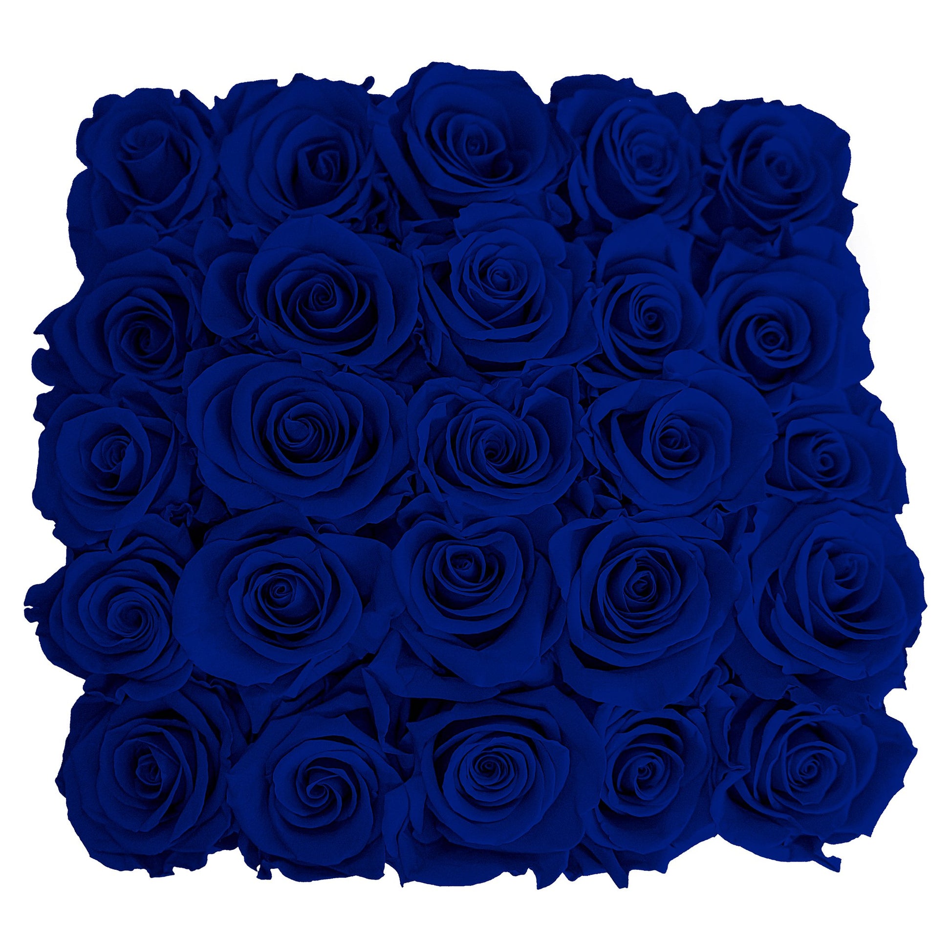 Preserved Roses Small Box | Royal Blue - Roses