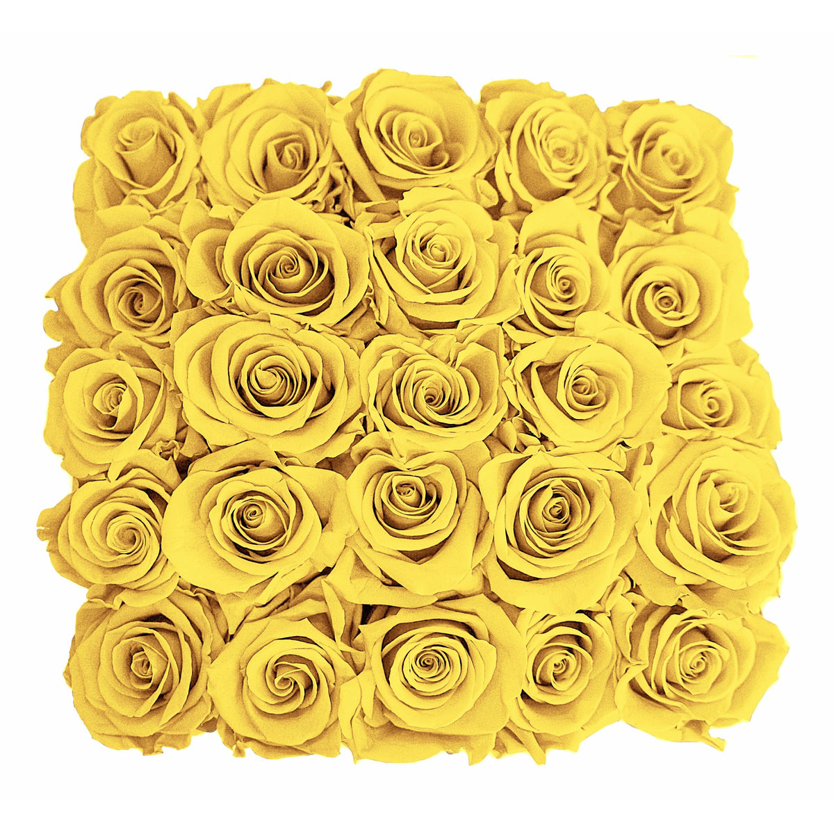 Preserved Roses Small Box | Yellow - Roses